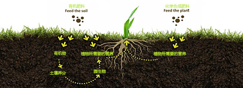 有機(jī)肥料和化學(xué)合成肥料之間的區(qū)別