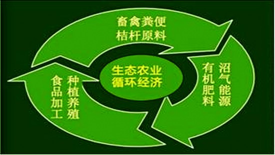 綠色環保,循環經濟報告