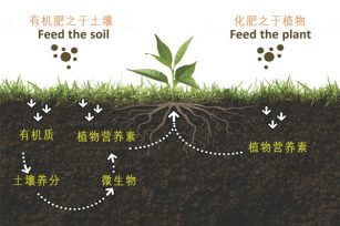 什么是有機肥,有機肥和化肥有什么區別,國家為什么鼓勵有機肥? 什么是有機肥,有機肥和化肥有什么區別,國家為什么鼓勵有機肥?