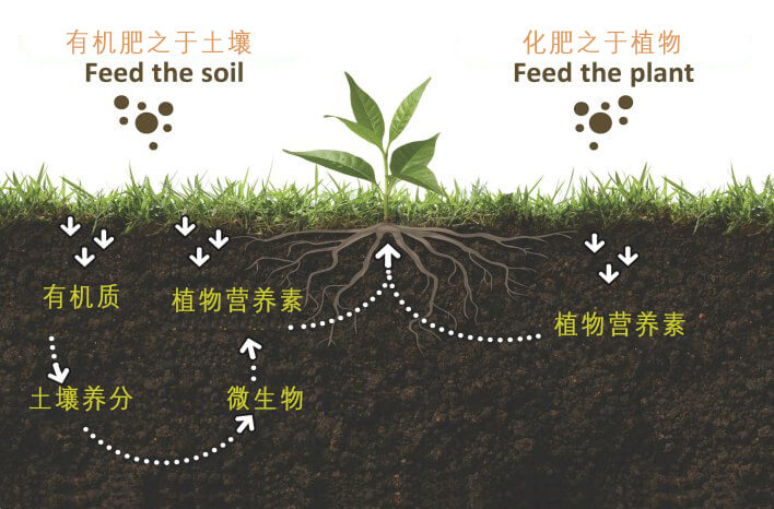 有機(jī)肥_化肥_有機(jī)肥優(yōu)勢(shì)